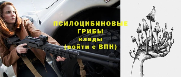 гашик Белокуриха