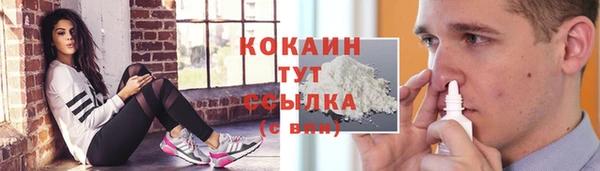прущие крисы Балахна