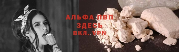 гашик Белокуриха