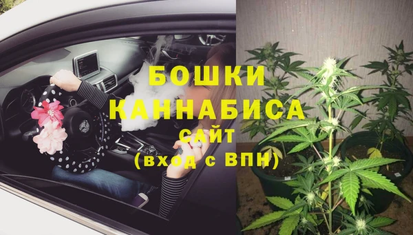 гашик Белокуриха