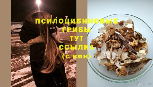 прущие крисы Балахна
