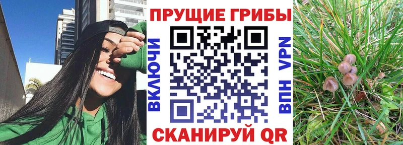 Псилоцибиновые грибы Cubensis  Кашира 
